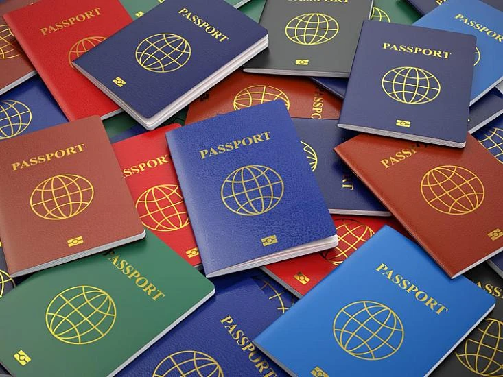 Pasportlar niyə fərqli rəngdədir?