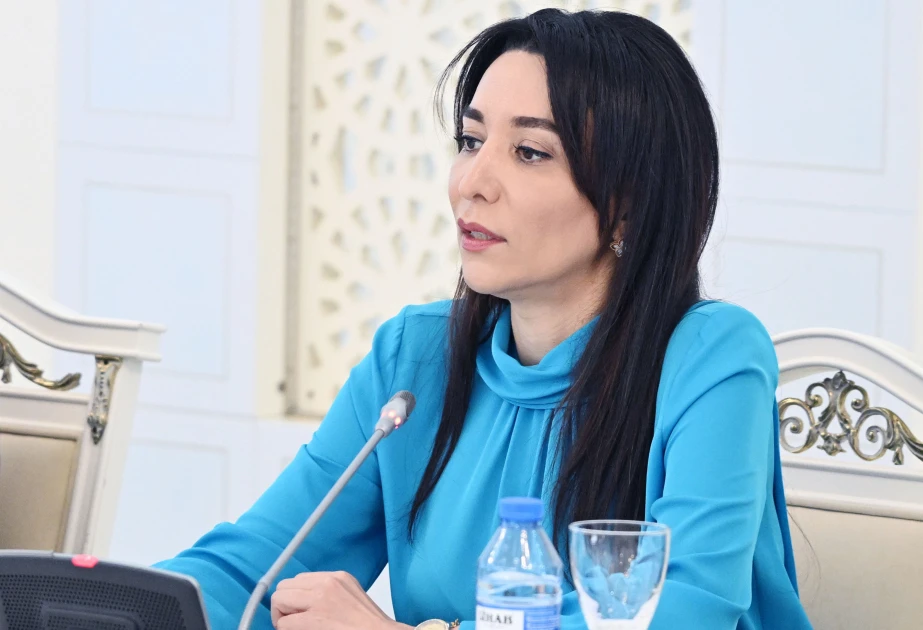 Uşaqların rəqəmsal təhlükəsizliyi üçün nəzarət mexanizmləri gücləndirilməlidir