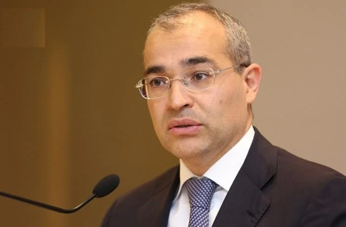“Qarabağ və Şərqi Zəngəzurda güzəştlərin müddəti uzadıla bilər”