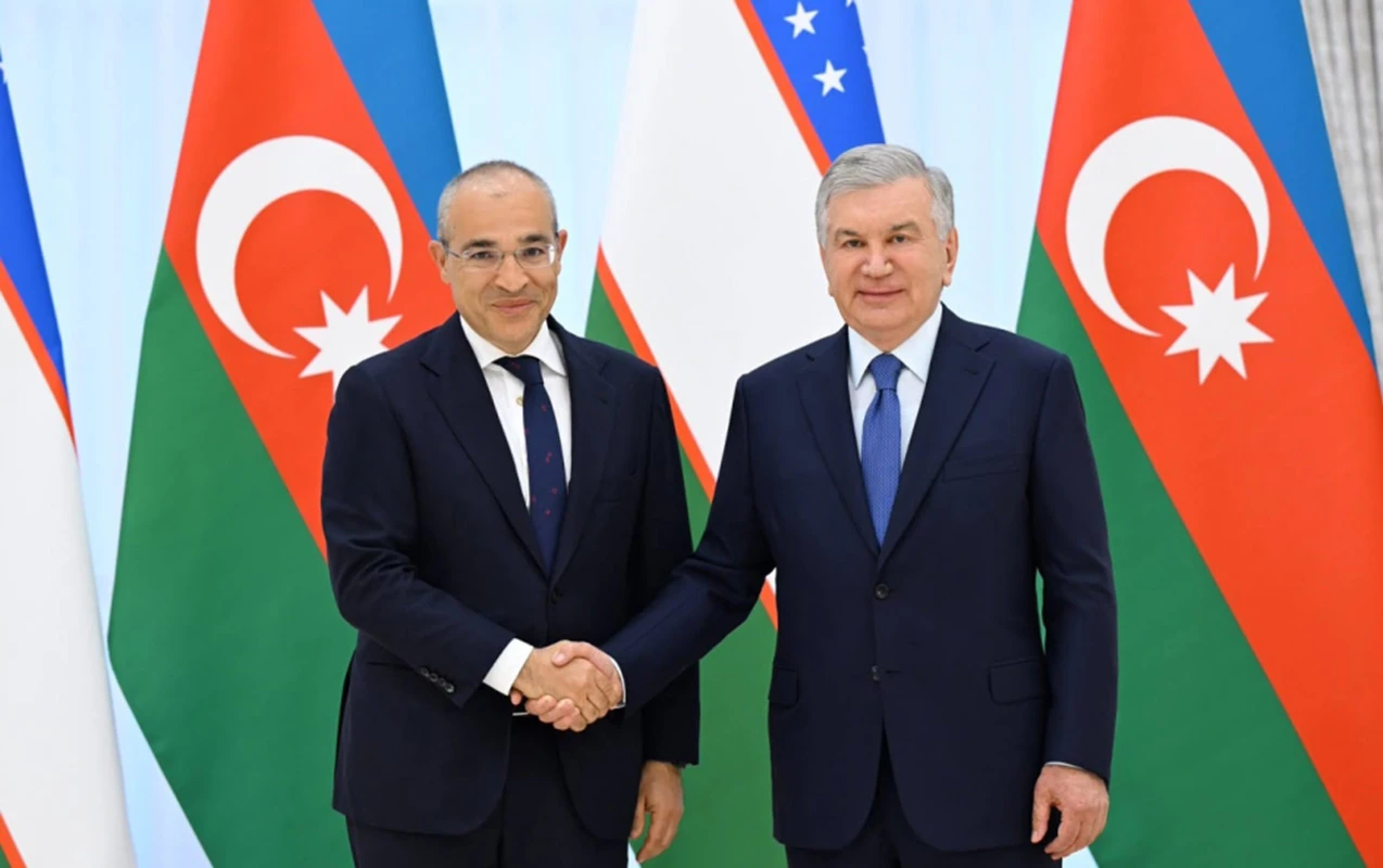 Mirziyoyev Mikayıl Cabbarovu qəbul etdi
