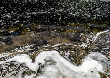 Oreqon çayını zəhərləyən şirkət günahını etiraf etdi