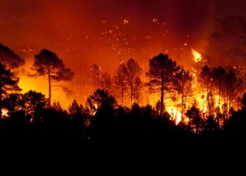 Yunanıstan və Türkiyədə yanğınlar