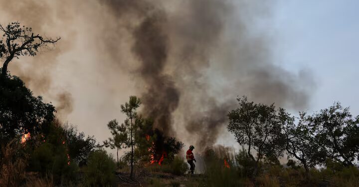 Avropa ərazisində rekord səviyyədə yanğınlar baş verib