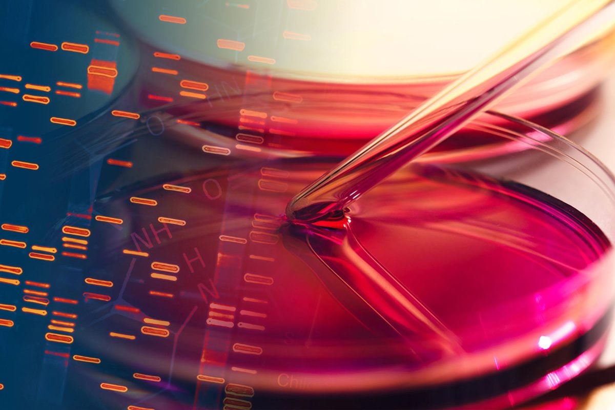 Kiçik texnoloji kəşf yalnız DNA və su ilə 3D struktur yaratmağa imkan verir