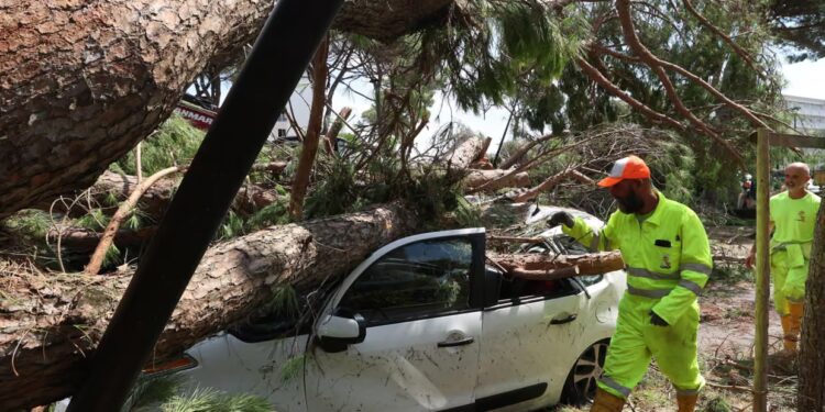 Avropada güclü təbii fəlakət