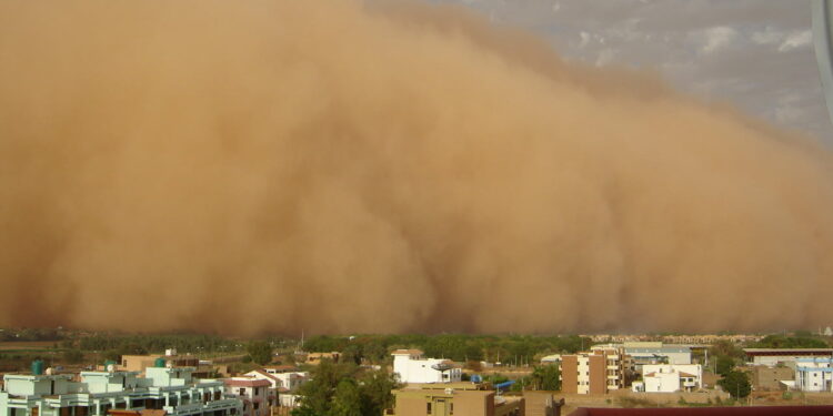 Şəhəri boğan toz fırtınası