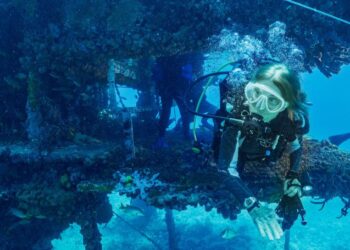 Silvia Earle – Dənizçinin 90 yaşı tamam olur