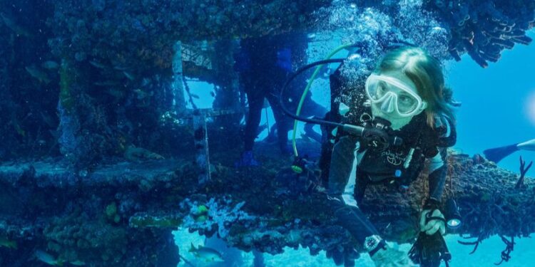 Silvia Earle – Dənizçinin 90 yaşı tamam olur