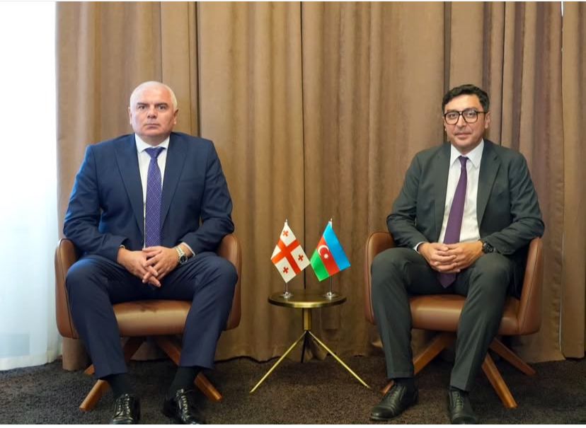 Fərid Qayıbov Gürcüstanın idman naziri ilə görüşüb.