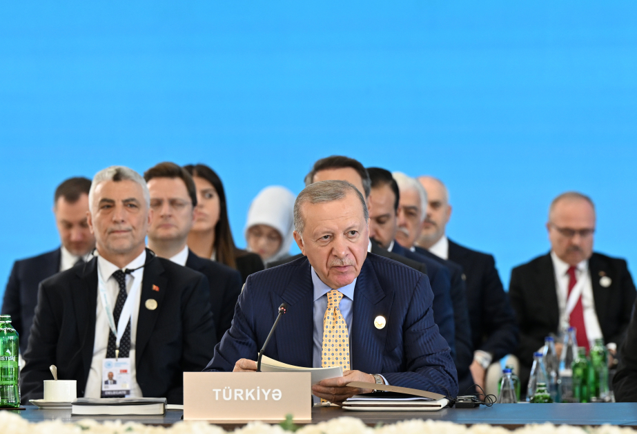 Türkiyə Prezidenti gələcək nəsillərə daha güclü Türk dünyası miras qoymağa çağırıb