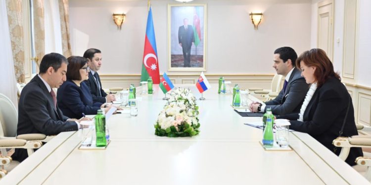 Sahibə Qafarova səfirlə görüşdü