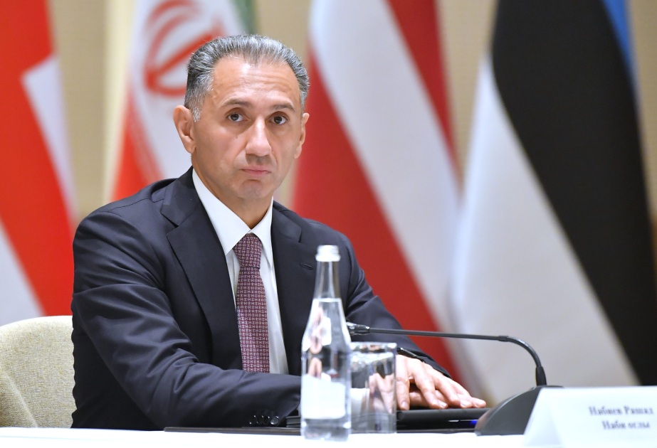 Rəşad Nəbiyev çıxış edib
