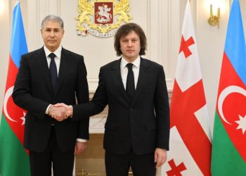 Gürcüstanın Baş naziri Vilayət Eyvazov ilə görüşüb