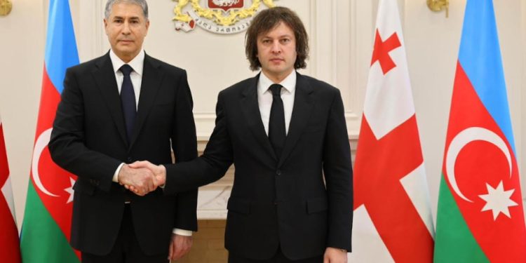 Gürcüstanın Baş naziri Vilayət Eyvazov ilə görüşüb
