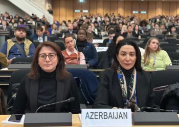 Səbinə Əliyeva BMT-nin Forumunda