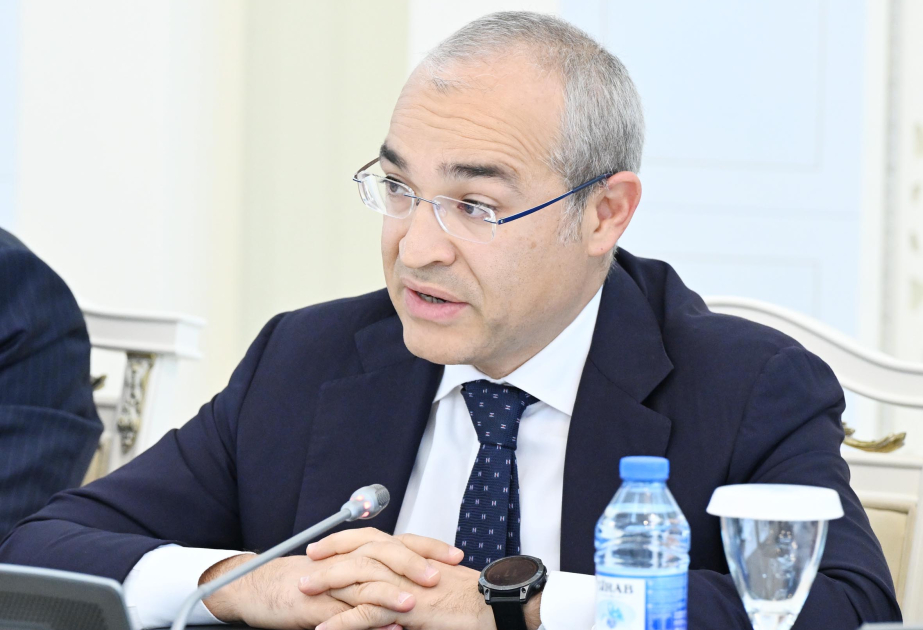 Mikayıl Cabbarov: Ölkədə iqtisadiyyatın şaxələndirilməsinə yönəlmiş fəaliyyət davam edir