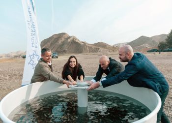 Leyla Əliyeva Mingəçevirdə ekoloji aksiyalarda iştirak edib