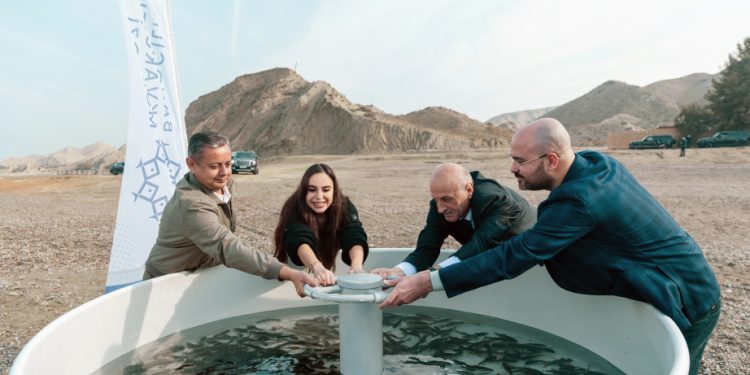 Leyla Əliyeva Mingəçevirdə ekoloji aksiyalarda iştirak edib