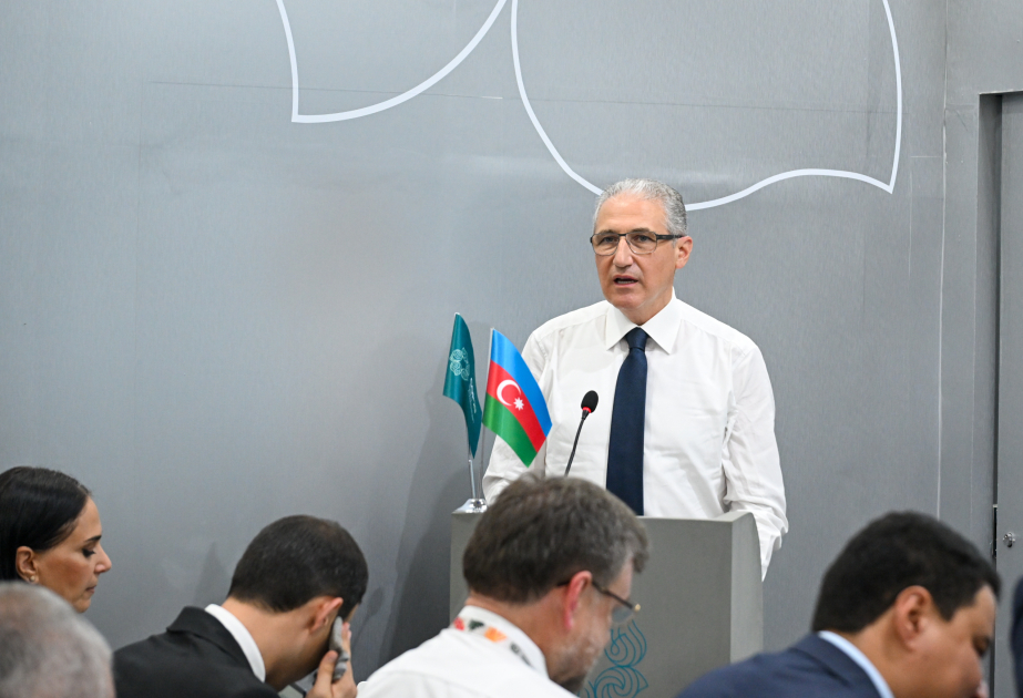 COP30-da Xəzər dənizinin səviyyəsinin azalmasına həsr olunmuş tədbir keçirilib