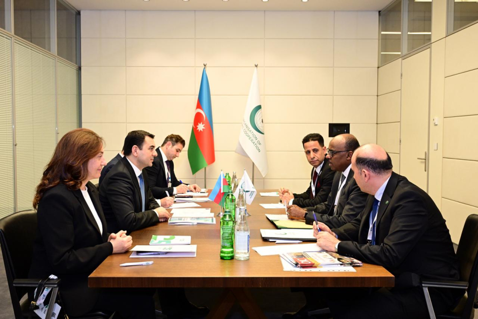 Adil Kərimli İƏT Baş katibinin köməkçisi ilə görüşüb