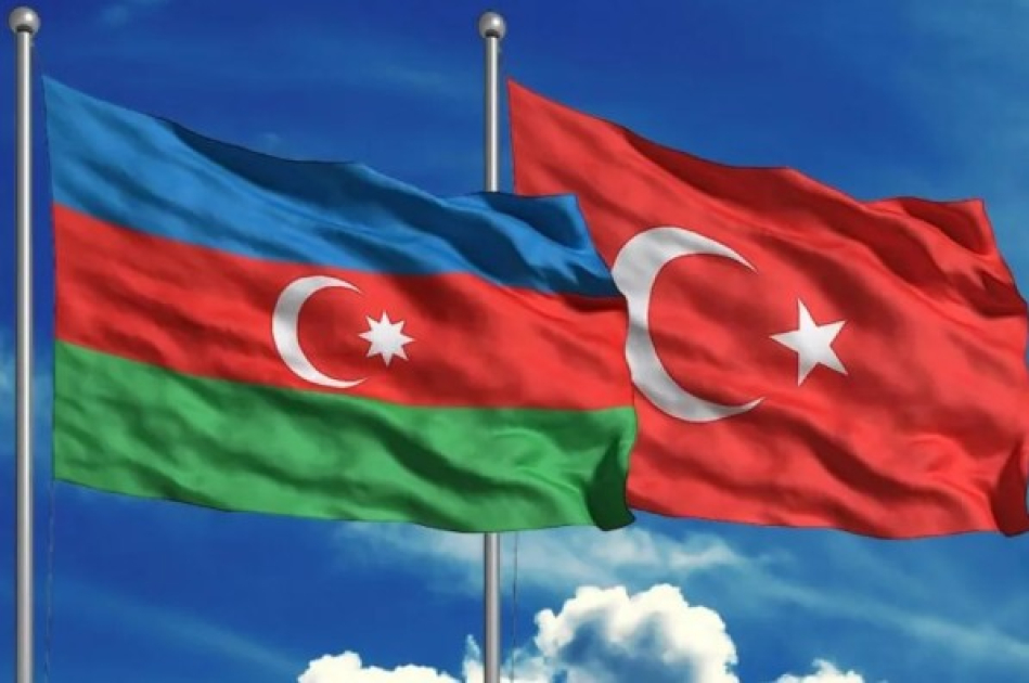 Azərbaycan və Türkiyə vətəndaşları üçün birgə iş axtarışı platforması yaradılır