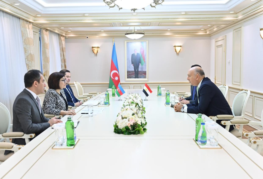 Sahibə Qafarova Misir səfiri ilə görüşüb