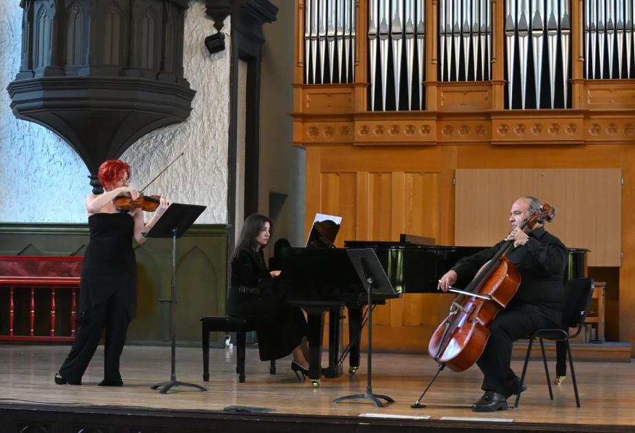 “Musiqi terapiyası: Səsin toxunuşu” adlı konsert keçirilib