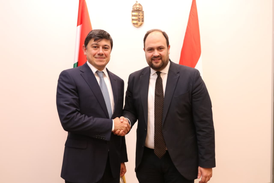 Macarıstanla diaspor sahəsində əməkdaşlıq müzakirə olunub