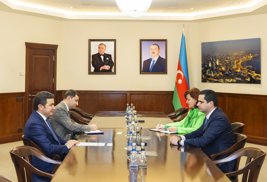 AZAL prezidenti Samir Rzayev səfirlə görüşüb