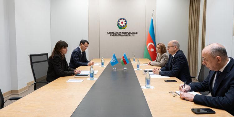 Energetika naziri Vladanka Andreyeva ilə görüşüb