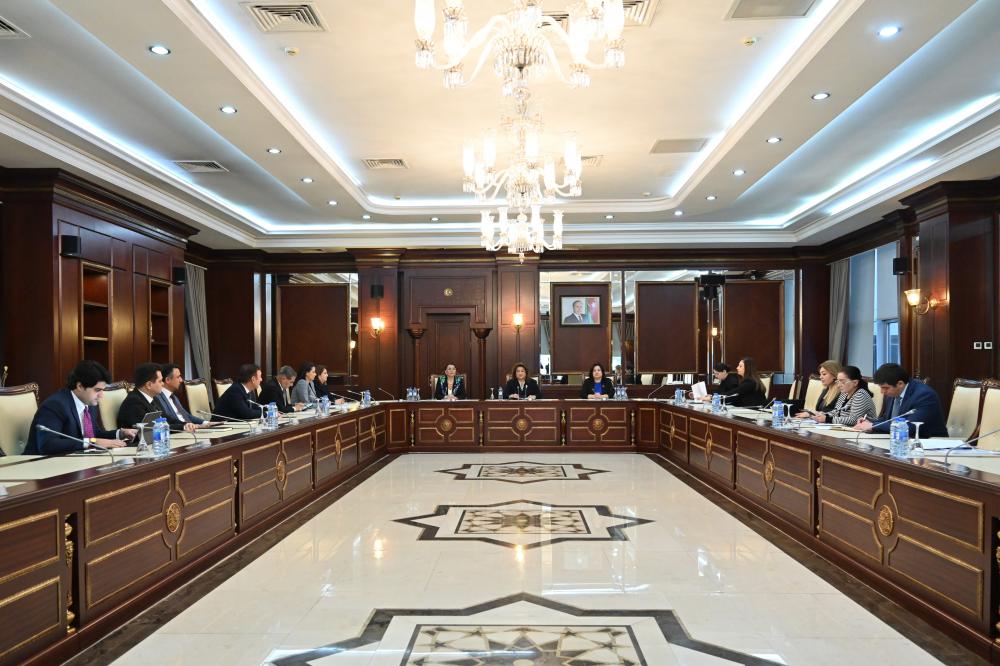 Milli Məclisin Ailə, qadın və uşaq məsələləri komitəsinin 2026-cı ilin yaz sessiyasında ilk iclası keçirilib