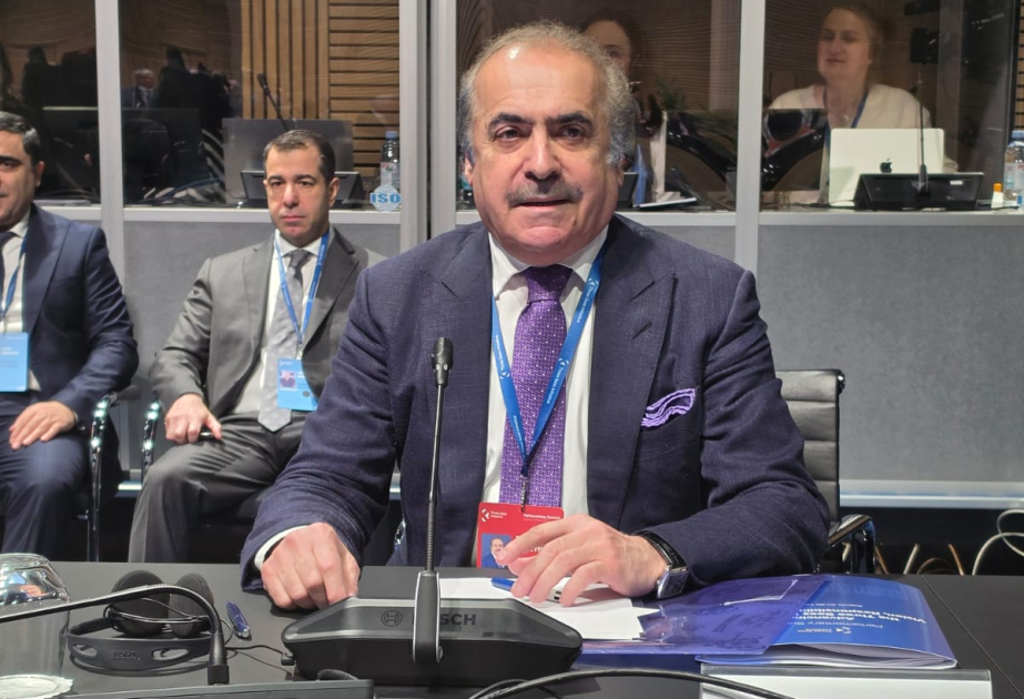 Avropanın enerji təhlükəsizliyində Azərbaycanın əhəmiyyəti Zaqrebdə vurğulanıb