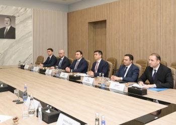 Azərbaycan və Türkiyə süni intellekt sahəsində əməkdaşlığı nəzərdən keçirib