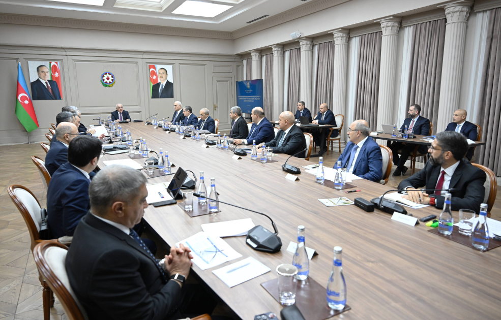 İqtisadi Şuranın və Azərbaycan İnvestisiya Holdinqinin Müşahidə Şurasının birgə iclası keçirilib