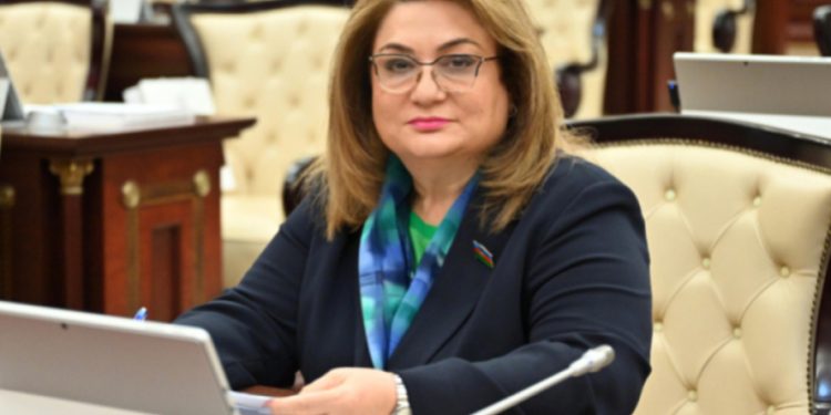 Hicran Hüseynova: Bu sahədə qanunvericiliyin daha da gücləndirilməsinə ehtiyac yaranır