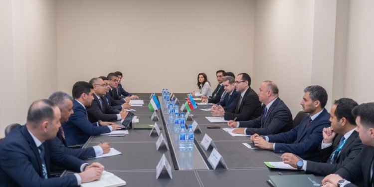 Azərbaycan və Özbəkistan üzümçülük sahəsində əməkdaşlığın genişləndirilməsində maraqlıdır