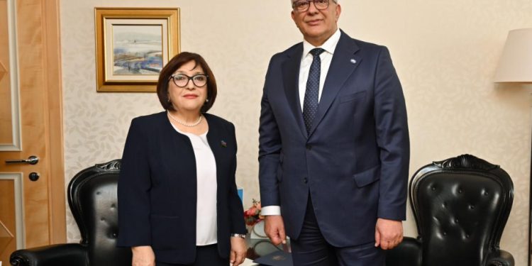 Sahibə Qafarova Monteneqro parlamentinin sədri ilə görüşüb