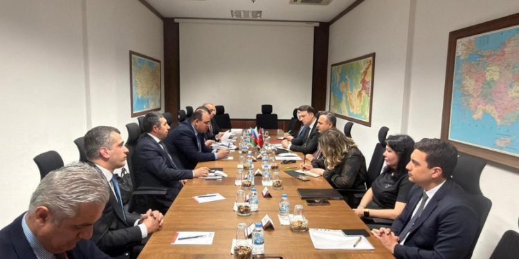 Azərbaycanla Türkiyə arasında konsulluq məsləhətləşmələri aparılıb